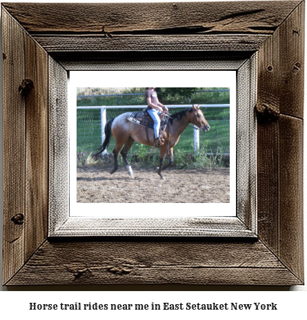 horse trail rides near me in East Setauket, New York